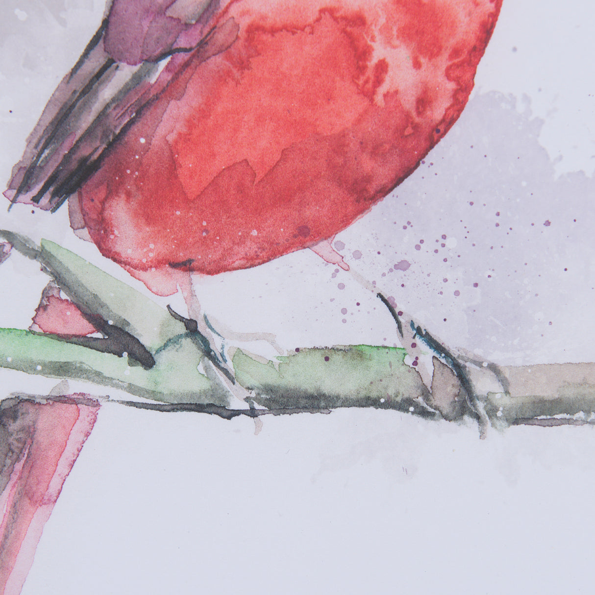 Cardinal II by Mercana Studio a Hand Embellished Textured Framed Art Print Matted under Glass from Mercana - Luna Furniture