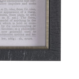 Vintage Page II by Mercana Studio a Hand Embellished Textured Framed Art Print from Mercana - Luna Furniture