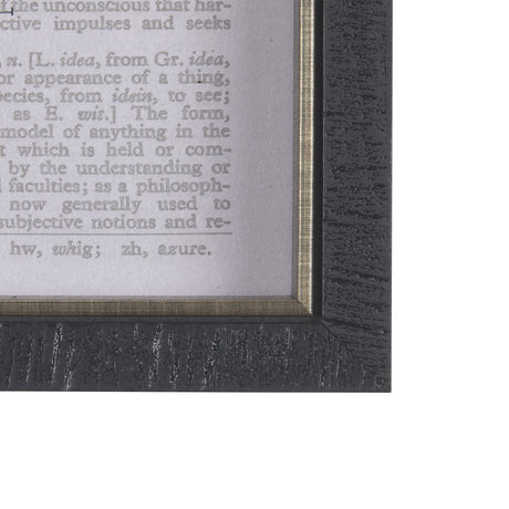 Vintage Page II by Mercana Studio a Hand Embellished Textured Framed Art Print from Mercana - Luna Furniture