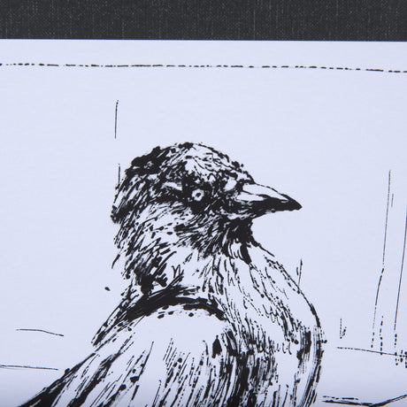 Animal Talk III by Mercana Studio a Framed Art Print Matted under Glass from Mercana - Luna Furniture