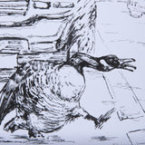 Animal Talk IV by Mercana Studio a Framed Art Print Matted under Glass from Mercana - Luna Furniture