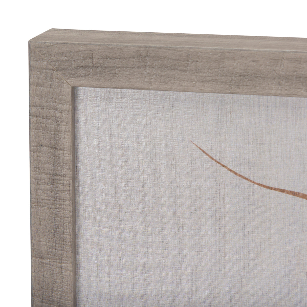 Moth I by Mercana Studio a Hand Embellished Textured Framed Art Print from Mercana - Luna Furniture