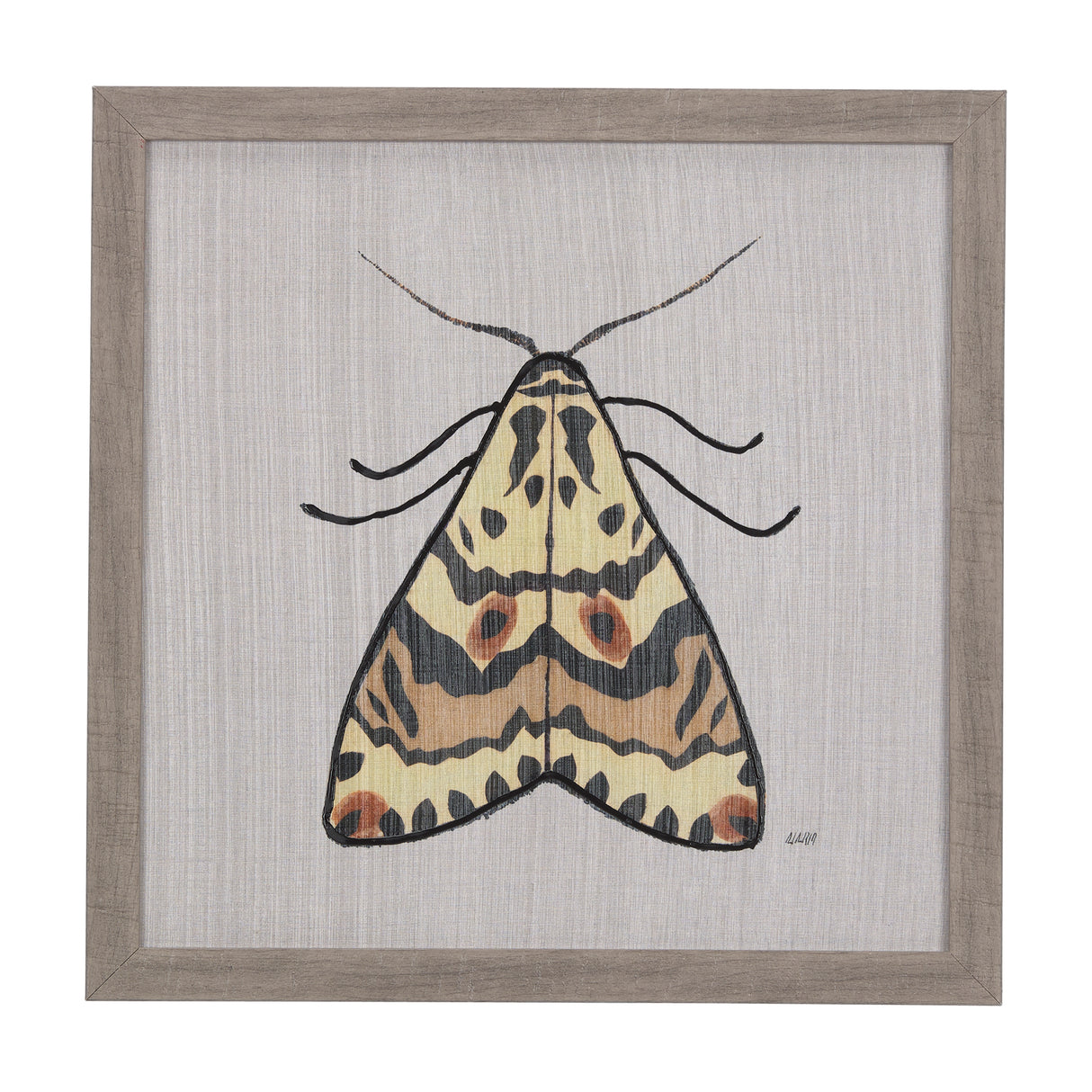 Moth III by Mercana Studio a Hand Embellished Textured Framed Art Print from Mercana - Luna Furniture