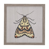 Moth III by Mercana Studio a Hand Embellished Textured Framed Art Print from Mercana - Luna Furniture
