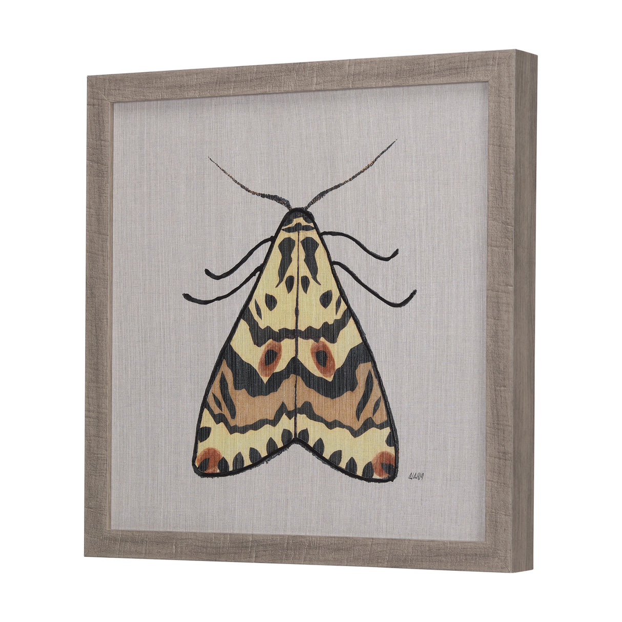 Moth III by Mercana Studio a Hand Embellished Textured Framed Art Print from Mercana - Luna Furniture