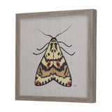 Moth III by Mercana Studio a Hand Embellished Textured Framed Art Print from Mercana - Luna Furniture