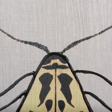 Moth III by Mercana Studio a Hand Embellished Textured Framed Art Print from Mercana - Luna Furniture