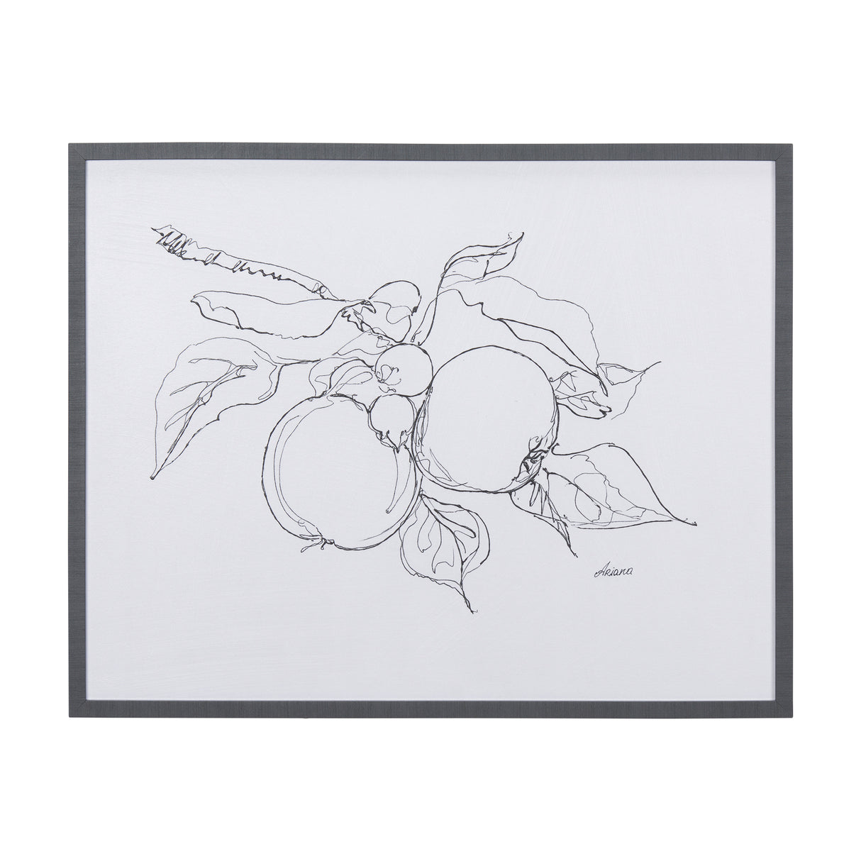 Fruit Sketch Apple by Mercana Studio a Hand Embellished Textured Framed Art Print from Mercana - Luna Furniture