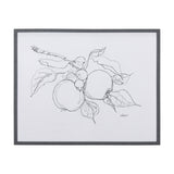 Fruit Sketch Apple by Mercana Studio a Hand Embellished Textured Framed Art Print from Mercana - Luna Furniture