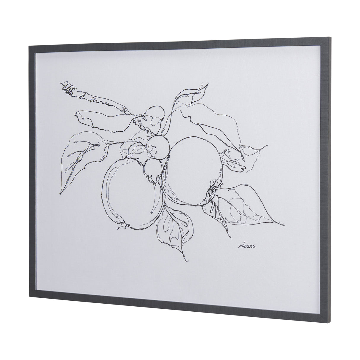 Fruit Sketch Apple by Mercana Studio a Hand Embellished Textured Framed Art Print from Mercana - Luna Furniture