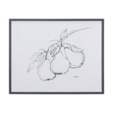 Fruit Sketch Pear by Mercana Studio a Hand Embellished Textured Framed Art Print from Mercana - Luna Furniture