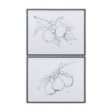 Fruit Sketch Pear by Mercana Studio a Hand Embellished Textured Framed Art Print from Mercana - Luna Furniture