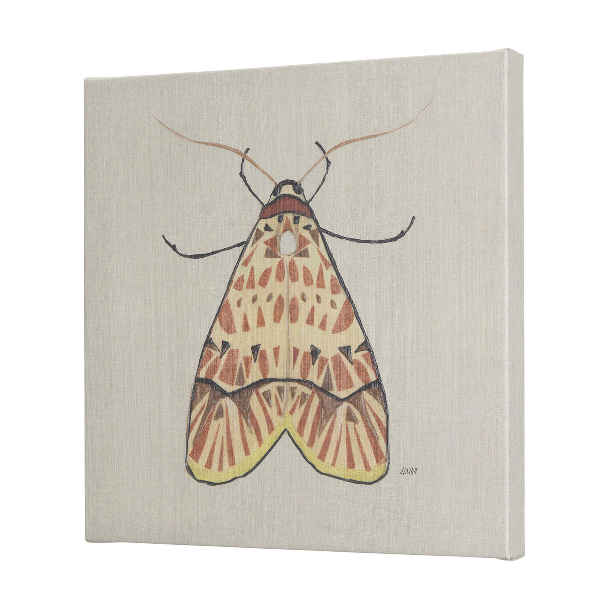 Moth I by Mercana Studio a Hand Embellished Textured Canvas from Mercana - Luna Furniture