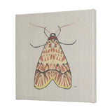 Moth I by Mercana Studio a Hand Embellished Textured Canvas from Mercana - Luna Furniture
