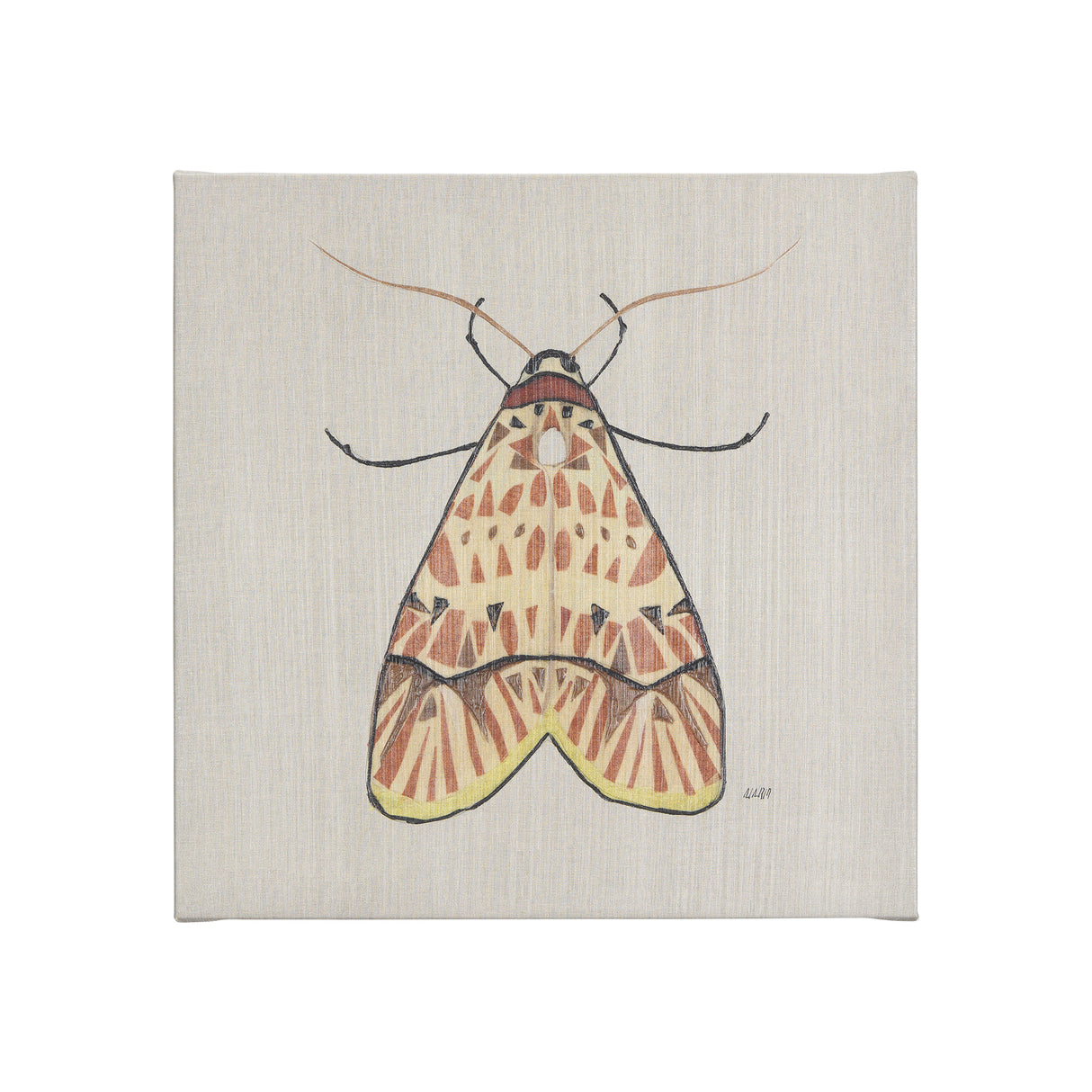Moth I by Mercana Studio a Hand Embellished Textured Canvas from Mercana - Luna Furniture