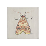 Moth I by Mercana Studio a Hand Embellished Textured Canvas from Mercana - Luna Furniture
