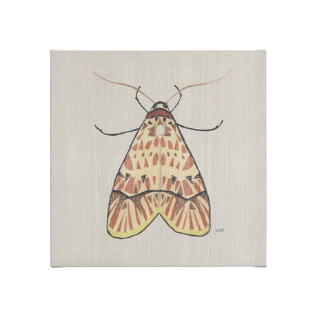 Moth I by Mercana Studio a Hand Embellished Textured Canvas from Mercana - Luna Furniture