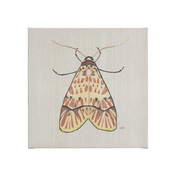 Moth I by Mercana Studio a Hand Embellished Textured Canvas