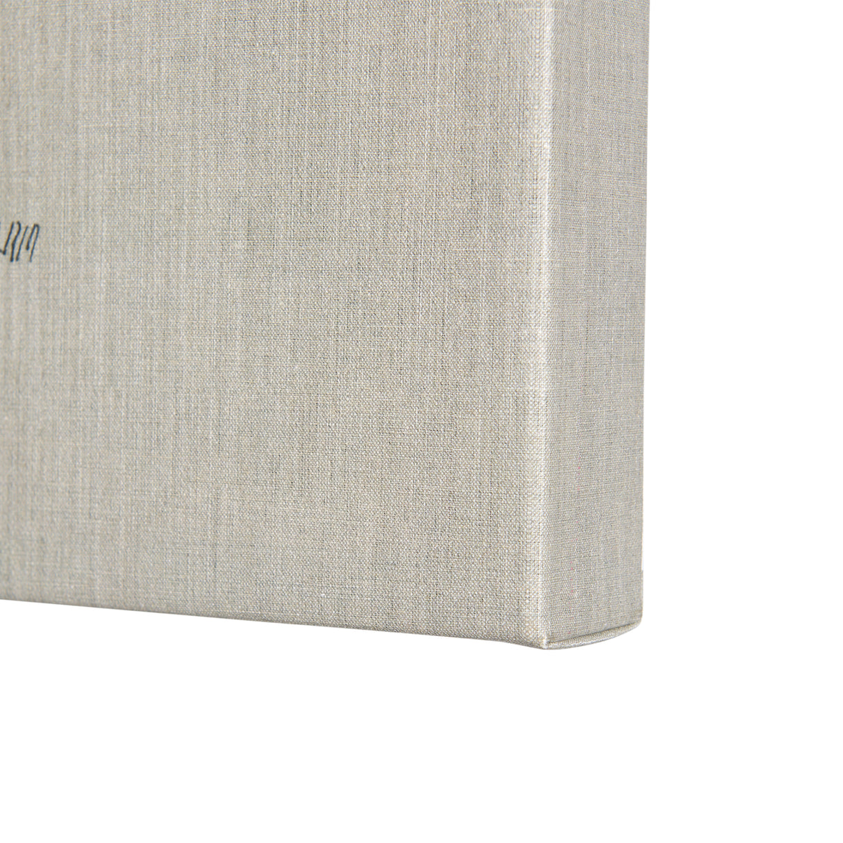Moth II by Mercana Studio a Hand Embellished Textured Canvas from Mercana - Luna Furniture