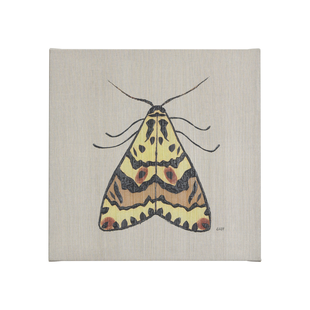 Moth III by Mercana Studio a Hand Embellished Textured Canvas from Mercana - Luna Furniture