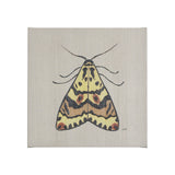 Moth III by Mercana Studio a Hand Embellished Textured Canvas from Mercana - Luna Furniture