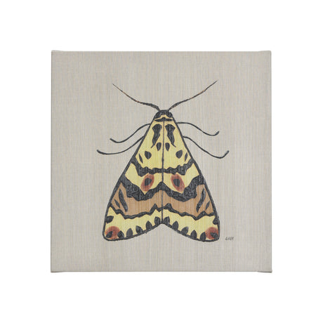 Moth III by Mercana Studio a Hand Embellished Textured Canvas from Mercana - Luna Furniture