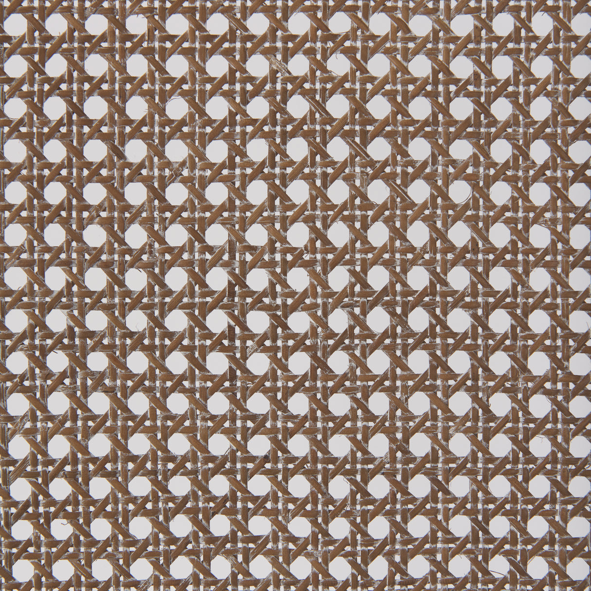 Wynn Fabric W/Brown Wood Dining Chair, Set of 2 from Mercana - Luna Furniture