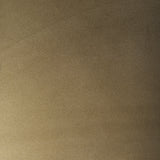 Pandora Dark Brass Metal W/Red Wood 2 Door Accent Cabinet from Mercana - Luna Furniture