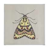Moth III by Mercana Studio a Hand Embellished Textured Canvas from Mercana - Luna Furniture
