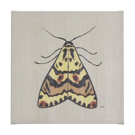 Moth III by Mercana Studio a Hand Embellished Textured Canvas from Mercana - Luna Furniture