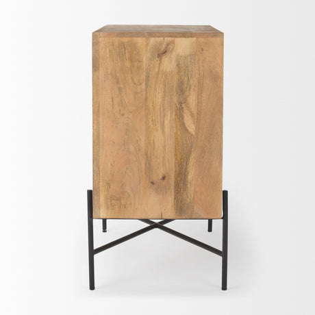 Cairo 36.0L x 19.5W x 36.0H 2 Door Wood and Metal Cabinet from Mercana - Luna Furniture