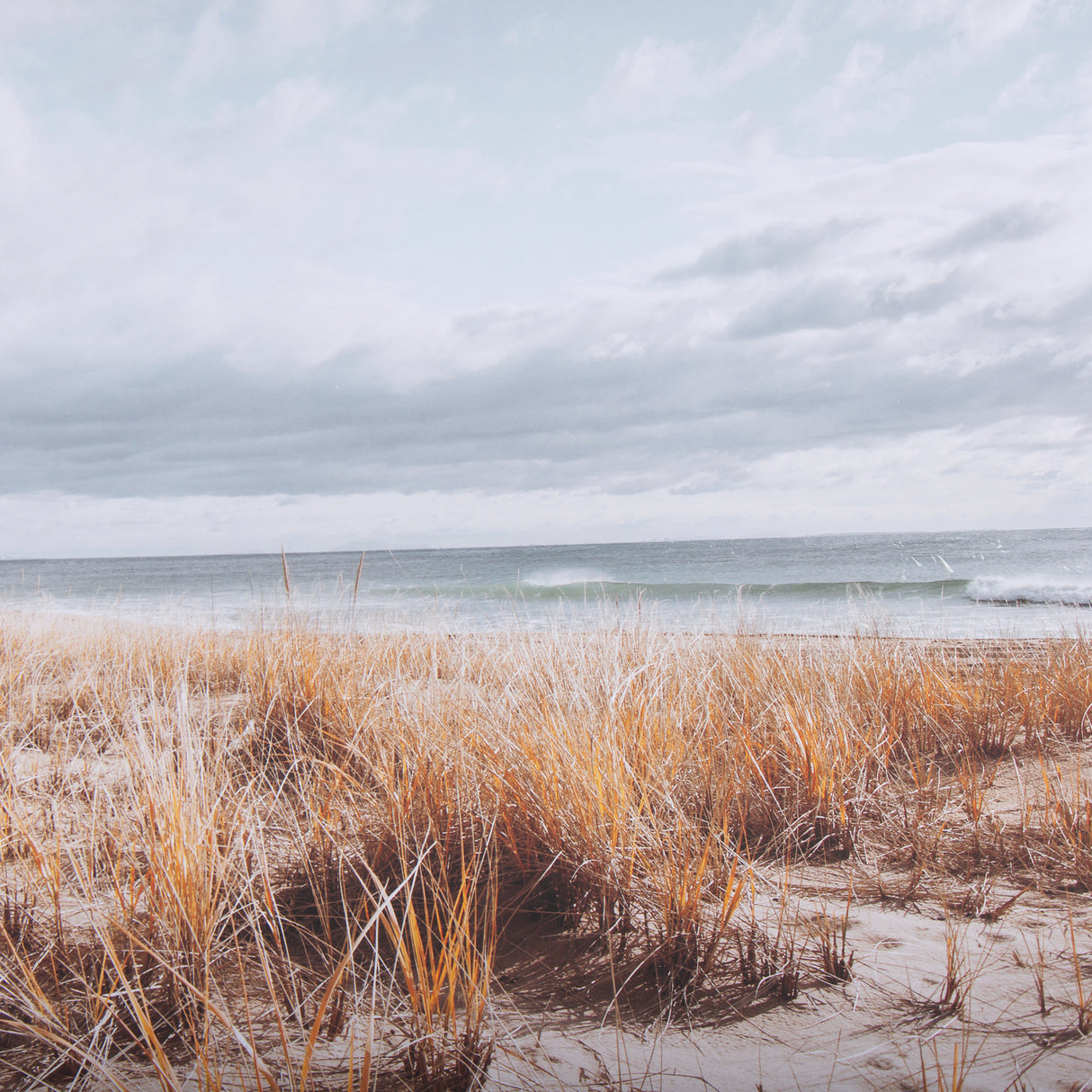 Atlantic Coast Afternoon by Mercana Studio Hand Embellished Framed Photo Art Print Matted under Glas from Mercana - Luna Furniture