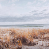 Atlantic Coast Afternoon by Mercana Studio Hand Embellished Framed Photo Art Print Matted under Glas from Mercana - Luna Furniture
