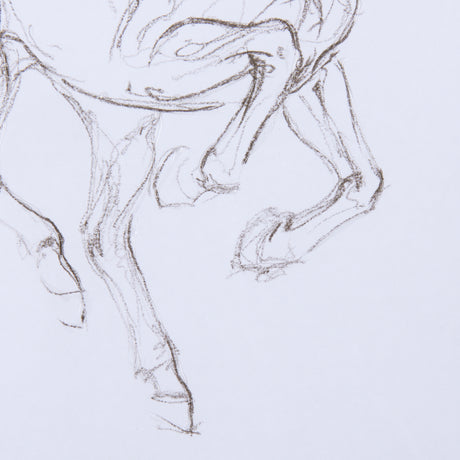 Horse I by Mercana Studio a Hand Embellished Textured Framed Art Print Matted under Glass from Mercana - Luna Furniture