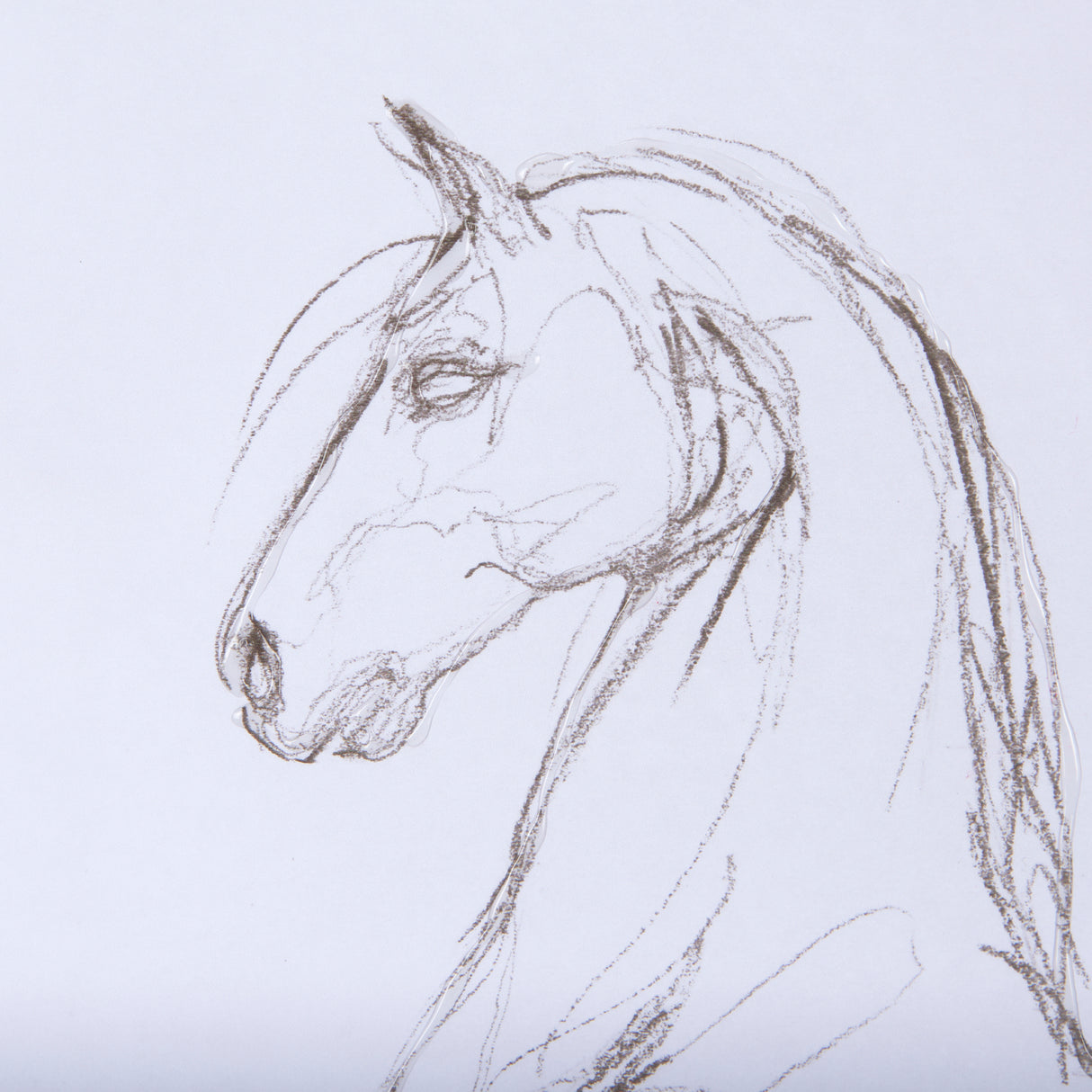 Horse II by Mercana Studio a Hand Embellished Textured Framed Art Print Matted under Glass from Mercana - Luna Furniture