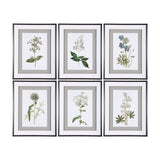 Soft Blue Botanoicals VIII by Mercana Studio Hand Embellished Framed Art Print Matted under Glass from Mercana - Luna Furniture