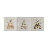 Moth II by Mercana Studio a Hand Embellished Textured Canvas from Mercana - Luna Furniture