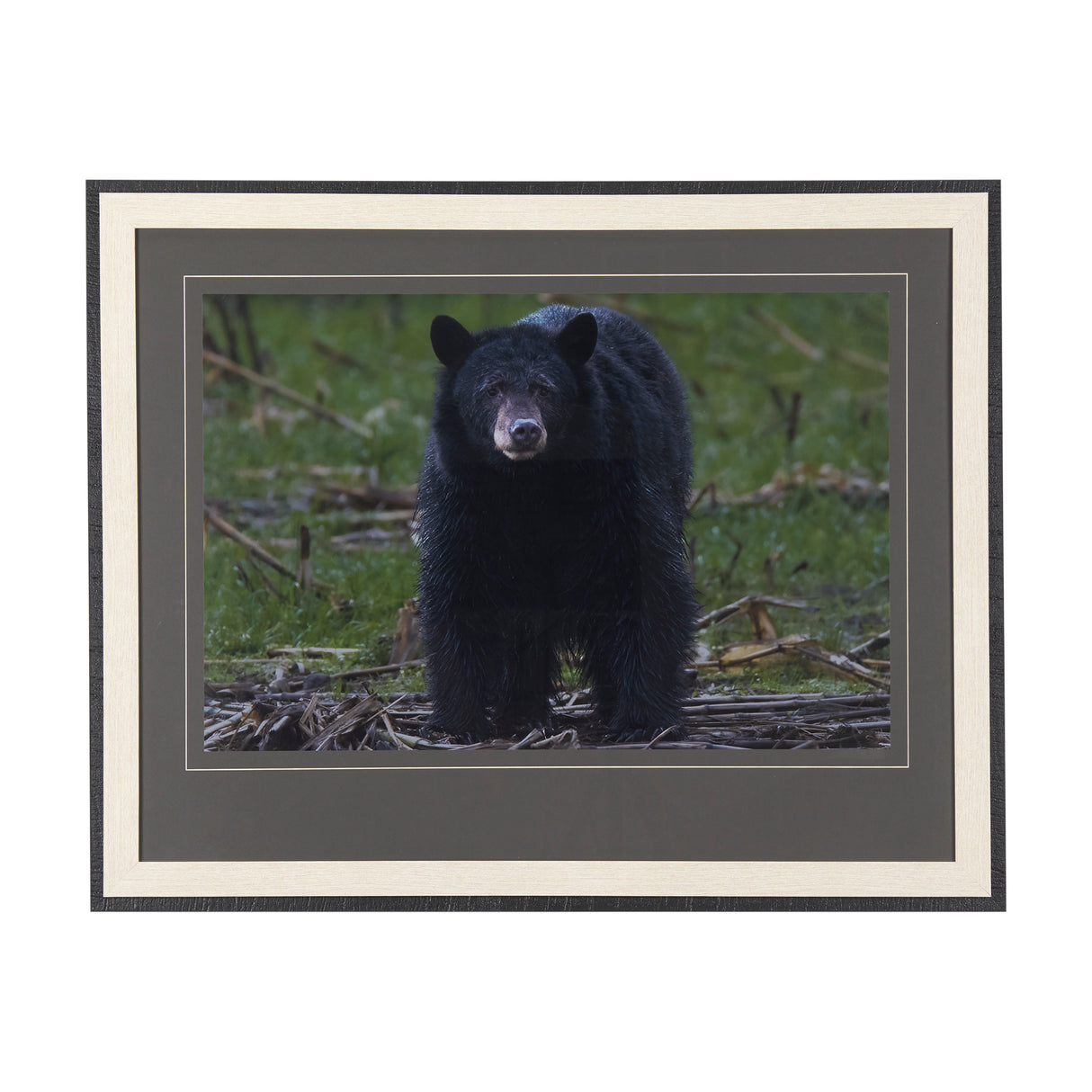 Standing Bear by Chad Mackay a Hand Embellished Textured Framed Photo Art Print Matted under Glass from Mercana - Luna Furniture