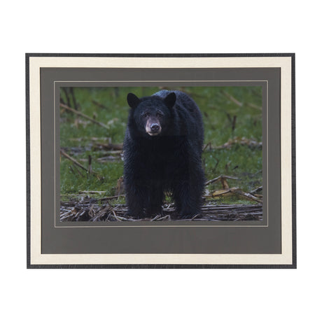 Standing Bear by Chad Mackay a Hand Embellished Textured Framed Photo Art Print Matted under Glass from Mercana - Luna Furniture