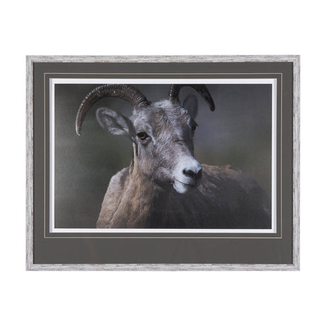 Big Horn Sheep by Chad Mackay a Hand Embellished Textured Framed Photo Art Print Matted under Glass from Mercana - Luna Furniture