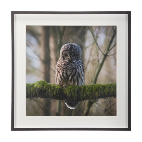 Forest Owl by Chad Mackay a Hand Embellished Textured Framed Photo Art Print Matted under Glass from Mercana - Luna Furniture