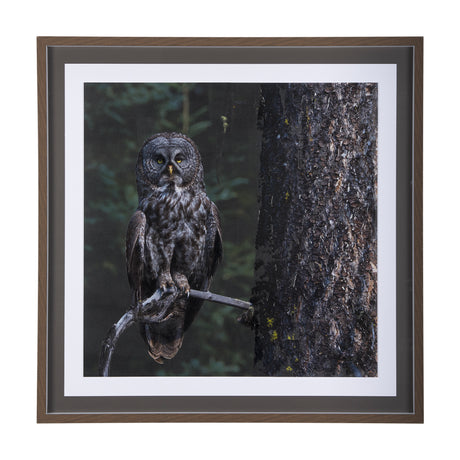 Night Owl by Chad Mackay a Hand Embellished Textured Framed Photo Art Print Matted under Glass from Mercana - Luna Furniture