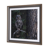 Night Owl by Chad Mackay a Hand Embellished Textured Framed Photo Art Print Matted under Glass from Mercana - Luna Furniture