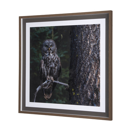 Night Owl by Chad Mackay a Hand Embellished Textured Framed Photo Art Print Matted under Glass from Mercana - Luna Furniture