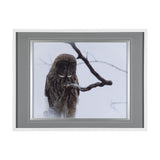Grey Owl by Chad Mackay a Hand Embellished Textured Framed Photo Art Print Matted under Glass from Mercana - Luna Furniture