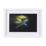 Dragon Fly by Mercana Studio a Framed Photo Art Print Matted under Glass from Mercana - Luna Furniture