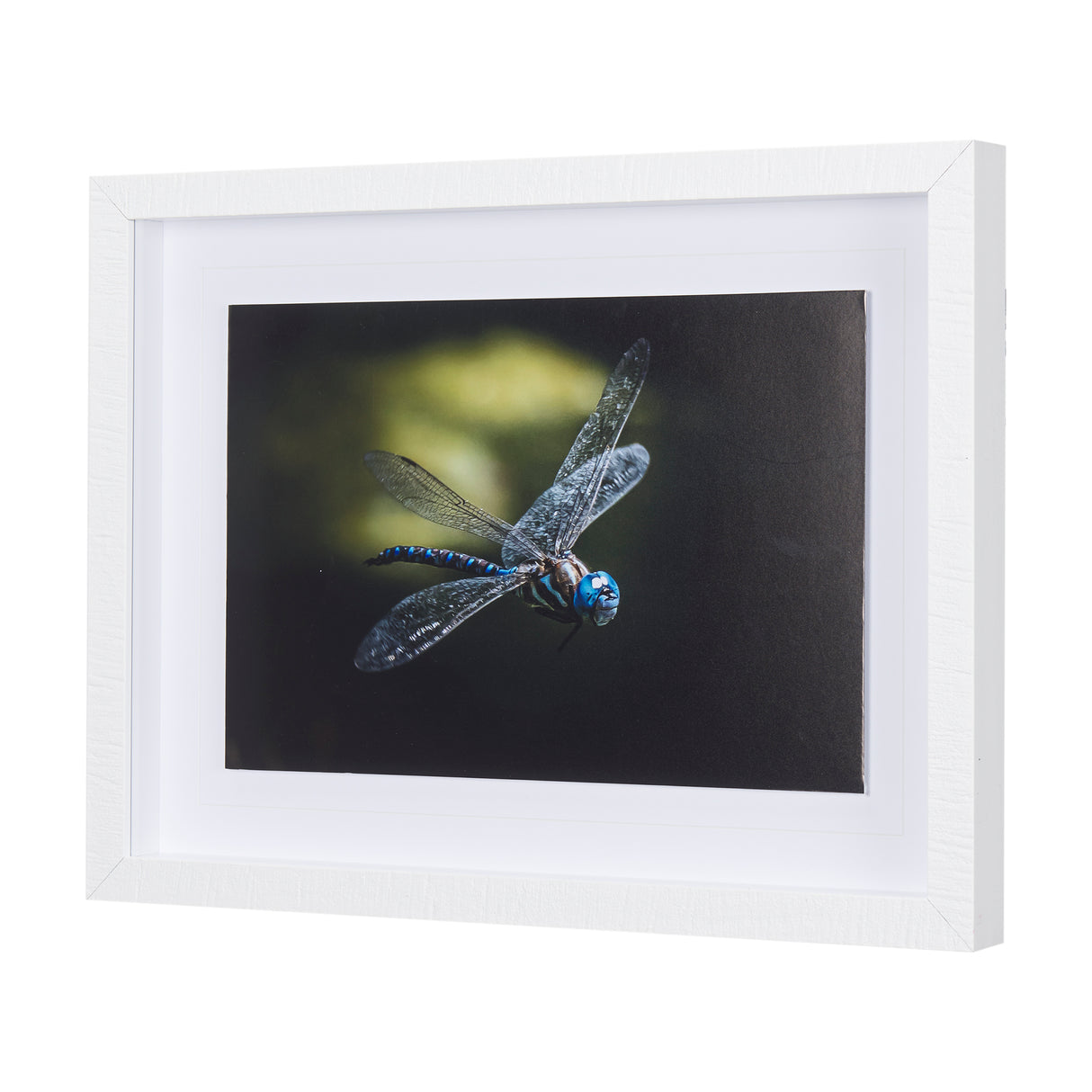 Dragon Fly by Mercana Studio a Framed Photo Art Print Matted under Glass from Mercana - Luna Furniture