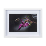 Honey Bee by Chad Mackay a Framed Photo Art Print Matted under Glass from Mercana - Luna Furniture