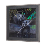 Playing Bears by Chad Mackay a Hand Embellished Textured Framed Photo Art Print Matted under Glass from Mercana - Luna Furniture