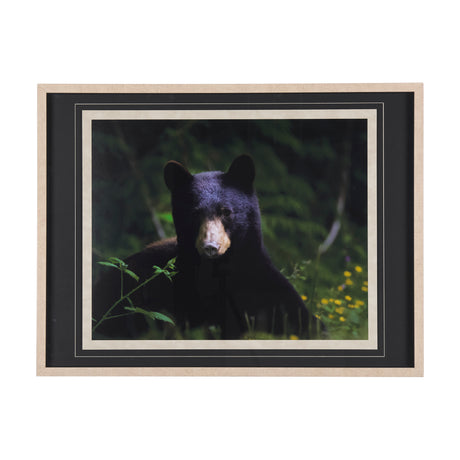 Bear by Chad Mackay a Framed Photo Art Print Matted under Glass from Mercana - Luna Furniture